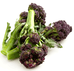 Purple Sprouting Broccoli