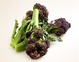 Purple Sprouting Broccoli