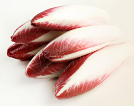 Chicory