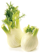 Fennel