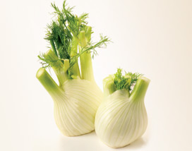 Fennel