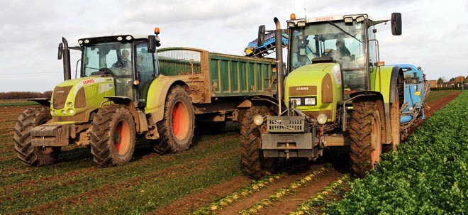 Field Grown Vegetables
